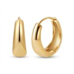 Titanium Hoop Earrings Brandy Chunky Dome Polished for Sensitive Ears