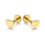 Titanium Stud Earrings Tiny Heart for Sensitive Ears - strict 1688 corrected image 1
