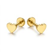 Titanium Stud Earrings Tiny Heart for Sensitive Ears - strict 1688 corrected image 1