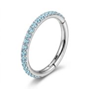 Titanium Hoop Earrings Shine Crystal Pave for Sensitive Ears - strict 1688 corrected image 1