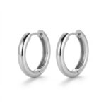 Titanium Hoop Earrings Rooftop Huggie for Sensitive Ears - strict 1688 corrected image 1