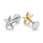 Flat Back Stud Earrings Twinkle Star in F136 Titanium - strict 1688 corrected image 1