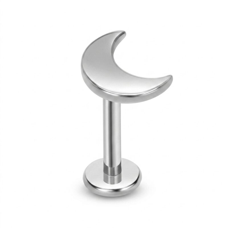 Flat Back Stud Earrings Classic Moon in F136 Titanium - strict 1688 corrected image 1