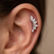 Titanium Stud Earrings Dynasty 6 Crystal Prong Leaf Ear for Sensitive Ears