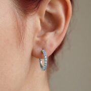 Titanium Hoop Earrings Shine Crystal Pave for Sensitive Ears - strict 1688 corrected image 2