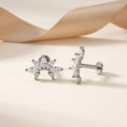 Titanium Stud Earrings Dynasty 6 Crystal Prong Leaf Ear for Sensitive Ears