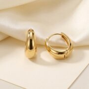 Titanium Hoop Earrings Brandy Chunky Dome Polished for Sensitive Ears