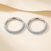 Titanium Hoop Earrings Shine Crystal Pave for Sensitive Ears - strict 1688 corrected image 3