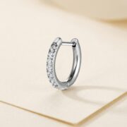 Titanium Hoop Earrings Zircon D-Ring for Sensitive Ears