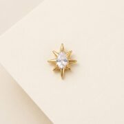 Flat Back Stud Earrings Starburst Dewdrop in F136 Titanium