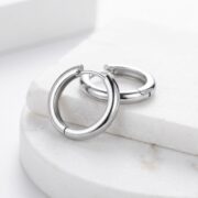 Titanium Hoop Earrings Rooftop Huggie for Sensitive Ears - strict 1688 corrected image 4