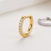 Titanium Hoop Earrings Zircon D-Ring for Sensitive Ears