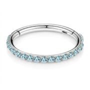 Titanium Hoop Earrings Shine Crystal Pave for Sensitive Ears - strict 1688 corrected image 5