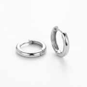 Titanium Hoop Earrings Rooftop Huggie for Sensitive Ears - strict 1688 corrected image 5