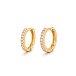 Titanium Hoop Earrings Jane Crystal Pave Eternity for Sensitive Ears - image2 approved white first image