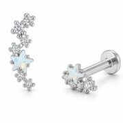 Titanium Stud Earrings Galaxy Cluster Aurora Borealis Crystal Star Ear for Sensitive Ears - image2 regenerated follow-up 5