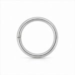 Nose Rings Minimal in F136 Titanium - image2 regenerated follow-up 1