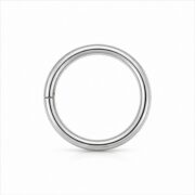 Nose Rings Minimal in F136 Titanium - image2 regenerated follow-up 1