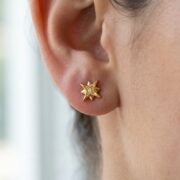 Flat Back Stud Earrings Crystal North Star in F136 Titanium - product image 2