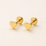 Titanium Stud Earrings Tiny Heart for Sensitive Ears product view