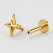 Flat Back Stud Earrings Twinkle Star in F136 Titanium post and backing detail