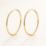 Hypoallergenic Hoop Earrings Every Body with S925 Silver product view