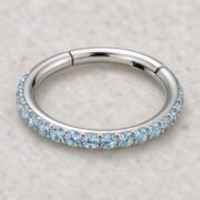 Titanium Hoop Earrings Shine Crystal Pave for Sensitive Ears post and backing detail