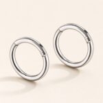 Titanium Hoop Earrings Ziv Simple Hinged Segment for Sensitive Ears product view