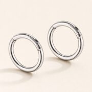 Titanium Hoop Earrings Ziv Simple Hinged Segment for Sensitive Ears product view