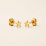 Titanium Stud Earrings Twinkle Little Star for Sensitive Ears product view