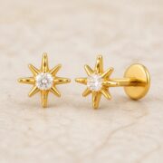Flat Back Stud Earrings Crystal Starburst in F136 Titanium post and backing detail