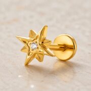 Flat Back Stud Earrings Crystal North Star in F136 Titanium post and backing detail