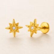 Flat Back Stud Earrings Crystal North Star in F136 Titanium product view