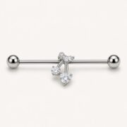 G23 Titanium Cherry Crystal Industrial Barbell Earring in Natural Titanium product view