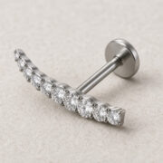Titanium Flat Back Earrings – Graduated Zircon Arc - back and hardware detail