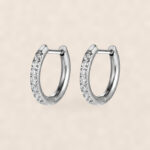 Titanium Hoop Earrings Zircon D-Ring for Sensitive Ears on warm ivory background