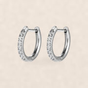 Titanium Hoop Earrings Zircon D-Ring for Sensitive Ears on warm ivory background