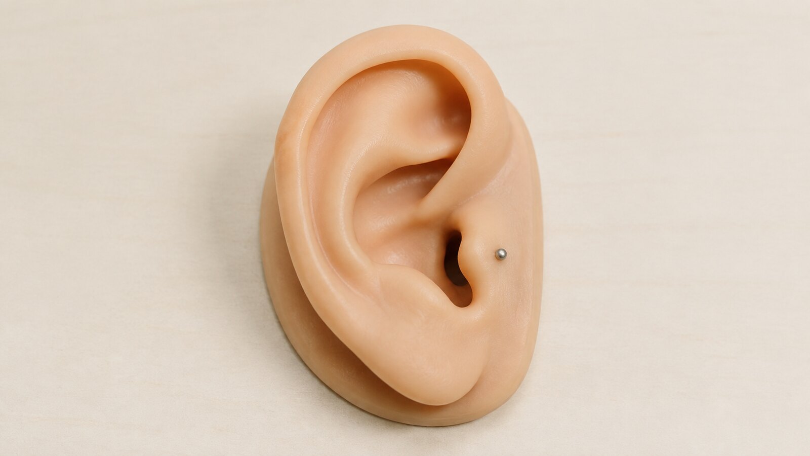 Anatomical ear model with a single silver marker on the tragus beside the ear canal